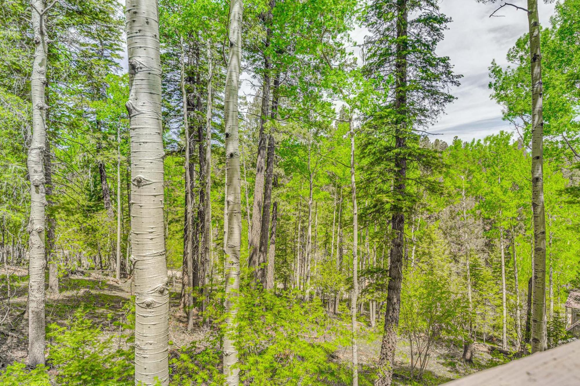 Quaint Cloudcroft Cabin With Stunning Forest Views! Εξωτερικό φωτογραφία